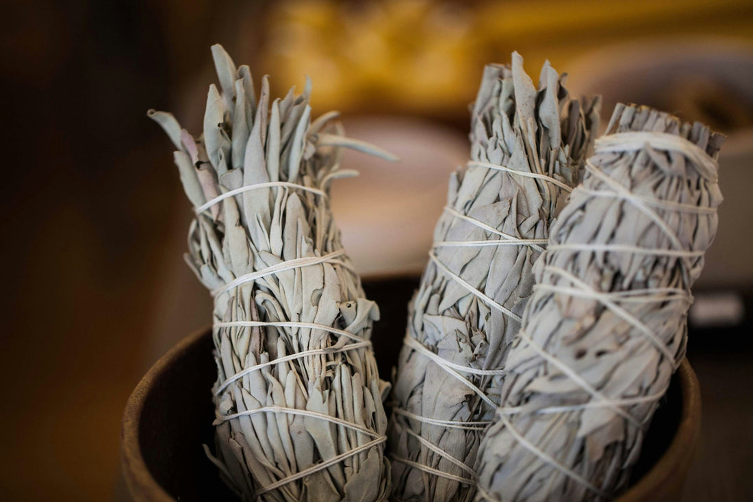 White sage - Good to know and how to use it